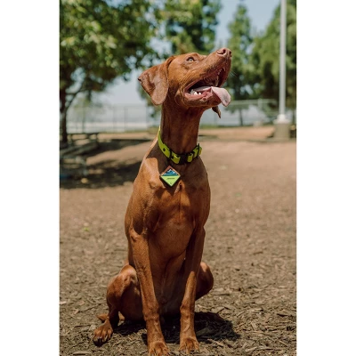 QALO TraQ Powered By Tile Dog And Cat Silicone Bluetooth Trackable Pet ID Tag - Green 3 QALO TraQ Powered By Tile Dog And Cat Silicone Bluetooth Trackable Pet ID Tag - Green