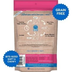 Buddy Biscuits Grain-Free With Savory Turkey & Cheddar Cat Treats, 3-oz Bag -PawHut || Nylabone || Northlight Gifts Shop GUEST 0295e479 7b8b 48c9 ae23 81cf4b0a6812