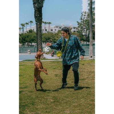 QALO TraQ Powered By Tile Dog And Cat Silicone Bluetooth Trackable Pet ID Tag - Green 5 QALO TraQ Powered By Tile Dog And Cat Silicone Bluetooth Trackable Pet ID Tag - Green - Image 3