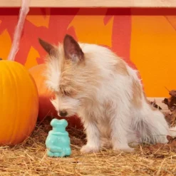 BARK Halloween Super Chewer Knock 'Em Dead Dog Toy 10 BARK Halloween Super Chewer Knock 'Em Dead Dog Toy -PawHut || Nylabone || Northlight Gifts Shop GUEST 0a9d8f3f c2aa 4764 b3d6 a78cb14d0b5a