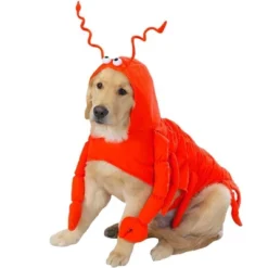 Casual Canine Lobster Paws Dog Costume -PawHut || Nylabone || Northlight Gifts Shop GUEST 0c0cd85e c3a4 4ec2 b4a1 553b36b2d010