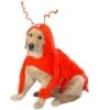 Casual Canine Lobster Paws Dog Costume 2 Casual Canine Lobster Paws Dog Costume -PawHut || Nylabone || Northlight Gifts Shop GUEST 0d574baa 182d 4a2b bb6e 8c8ac0297c08