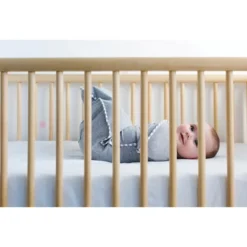 Love To Dream Swaddle UP Adaptive Original Swaddle Wrap -PawHut || Nylabone || Northlight Gifts Shop GUEST 12273067 898c 4132 a758 74124e5e50bf