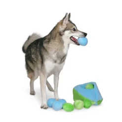 Midlee Hide A Ball Dog Toy - Blue/Green -PawHut || Nylabone || Northlight Gifts Shop GUEST 1352c71b aa89 4b95 8b42 bf3ef3797cf6