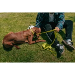 QALO TraQ Powered By Tile Dog And Cat Silicone Bluetooth Trackable Pet ID Tag - Green 12 QALO TraQ Powered By Tile Dog And Cat Silicone Bluetooth Trackable Pet ID Tag - Green -PawHut || Nylabone || Northlight Gifts Shop GUEST 16be6455 ee92 49b9 96a2 5ddb169558d0