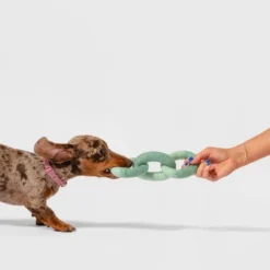 AWOO Felt Link Plush Ring Dog Toy