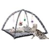 Pet Adobe Cat Activity Center - Interactive Play Area With Hanging Toys For Cats And Kittens -PawHut || Nylabone || Northlight Gifts Shop GUEST 1e2e6893 d011 41aa 9115 0dc56f3dc8a7