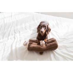 ZippyPaws Burrow Log Dog Toy 7 ZippyPaws Burrow Log Dog Toy -PawHut || Nylabone || Northlight Gifts Shop GUEST 26ca663c da6a 49ac 8043 3510f6a41164