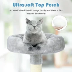 Costway 66'' Cat Tree Condo Kitten Multi-Level Activity Center Plush Perches W/ Hammock -PawHut || Nylabone || Northlight Gifts Shop GUEST 28cef51c d901 4746 8ed2 9d09cab5cf85