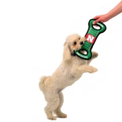 NCAA Nebraska Cornhuskers Field Dog Toy -PawHut || Nylabone || Northlight Gifts Shop GUEST 2c70eea3 8761 42c0 b448 b3c26dd58db6