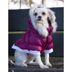 Pet Life Metallic Fashion Dog And Cat Parka Coat -PawHut || Nylabone || Northlight Gifts Shop GUEST 2c837687 f831 42fb b1ce 4c8e5672b964