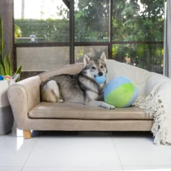 Midlee Hide A Ball Dog Toy - Blue/Green -PawHut || Nylabone || Northlight Gifts Shop GUEST 2e4d7cd0 f1d3 4fe0 9afd e2e0d45b1b52