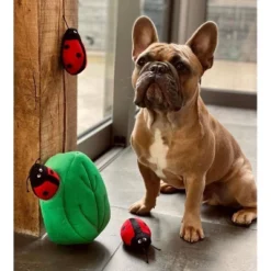 ZippyPaws Burrow Ladybug And Leaf Dog Toy 7 ZippyPaws Burrow Ladybug And Leaf Dog Toy -PawHut || Nylabone || Northlight Gifts Shop GUEST 309422c1 b115 46cc 852d 57fe182d2dca