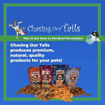 Chasing Our Tails Elk Antler Large For Dogs 1 Count 4 Chasing Our Tails Elk Antler Large For Dogs 1 Count - Image 2