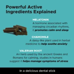 Hemp Calming Fresh Sticks Dental Treats For Dogs - Peanut Butter & Pumpkin Flavor - 30ct -PawHut || Nylabone || Northlight Gifts Shop GUEST 3d68f3ec b4d8 4bb0 8d4d e03681e1737e