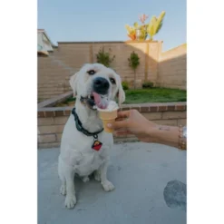 QALO TraQ Powered By Tile Dog And Cat Silicone Bluetooth Trackable Pet ID Tag - Navy -PawHut || Nylabone || Northlight Gifts Shop GUEST 42b0558d 43bc 4939 991a cd833efd28ed