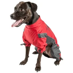 Touchdog Quantum-Ice Full-Bodied Adjustable And 3M Reflective Dog And Cat Jacket -PawHut || Nylabone || Northlight Gifts Shop GUEST 43e83242 ac6c 4b13 80ca bb4ec6bd8fe7