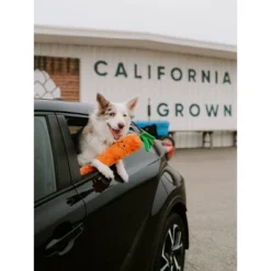 ZippyPaws Carrot Jiggler Dog Toy - 21" 9 ZippyPaws Carrot Jiggler Dog Toy - 21" -PawHut || Nylabone || Northlight Gifts Shop GUEST 459cb5c8 35d6 436d ae7a 76de23af12be
