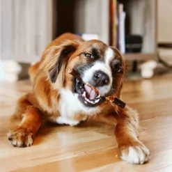 Paw Love Wrapped Collagen Beef Flavor Dog Treats - 1.05oz/3ct -PawHut || Nylabone || Northlight Gifts Shop GUEST 49c79541 cb87 4b08 a456 4e76c5a9a73e