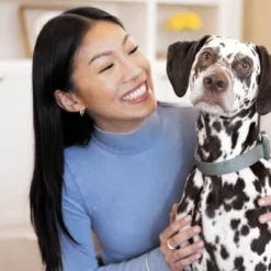 Greenies Canine Crunchy Chicken Flavor Dog Treat - 28oz -PawHut || Nylabone || Northlight Gifts Shop GUEST 4a1b4b0c e243 4426 aed0 8d1c40efd968