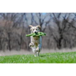 Fluff & Tuff Georgia Gator Dog Toy - 18" -PawHut || Nylabone || Northlight Gifts Shop GUEST 4a694ac0 a637 438f a0c4 05c731e40c39