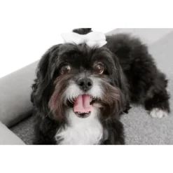 TailZzz Asher Wooden Pet Bed With Mattress Elevated Pet Bed Greenguard Gold Certified Wooden Pet Bed 25 TailZzz Asher Wooden Pet Bed With Mattress Elevated Pet Bed Greenguard Gold Certified Wooden Pet Bed -PawHut || Nylabone || Northlight Gifts Shop GUEST 4f27e739 f80d 4124 aa71 5dd7dece70d9