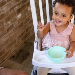 Ingenuity Baby Base 2-in-1 Booster Feeding And Floor Seat With Self-Storing Tray -PawHut || Nylabone || Northlight Gifts Shop GUEST 5bdb1493 6689 4d42 b301 9e01fc86930b