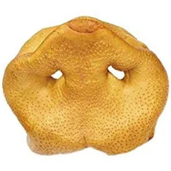 Pawstruck Pig Snouts For Dogs , Bulk Dog Dental Treats & Natural Pork Dog Chews, Made In USA, American Made -PawHut || Nylabone || Northlight Gifts Shop GUEST 68598fa6 a50d 4ad5 8d83 efeabbe88c60