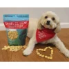 Charlee Bear Original Crunch Cheese And Egg Dog Treats - 16 Oz 2 Charlee Bear Original Crunch Cheese And Egg Dog Treats - 16 Oz -PawHut || Nylabone || Northlight Gifts Shop GUEST 71e61f6e 01f8 4e0a 8627 b1f787742f43