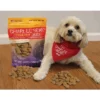 Charlee Bear Grain-Free Crunch Dog Treats-Turkey, Sweet Potato & Cranberry(8 Oz) 1 Charlee Bear Grain-Free Crunch Dog Treats-Turkey, Sweet Potato & Cranberry(8 Oz) -PawHut || Nylabone || Northlight Gifts Shop GUEST 74c40f1b 5373 4b62 8187 6d36102a698d