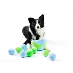 Midlee Hide A Ball Dog Toy - Blue/Green -PawHut || Nylabone || Northlight Gifts Shop GUEST 7dbe2fd9 5d64 405a 90fc 1a81ed8e8166