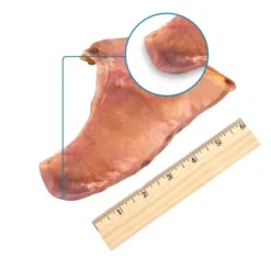 Gigabyte GigaBite All Natural Whole Pig Ears Treats For Dogs -PawHut || Nylabone || Northlight Gifts Shop GUEST 84ddf88f 6fa6 43b0 bbcf 7e72c53c597f