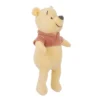 Disney Winnie The Pooh Plush Toy -PawHut || Nylabone || Northlight Gifts Shop GUEST 86d36426 e6c6 46d2 9dae c8ccb1b92abf
