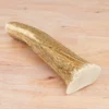 Chasing Our Tails Elk Antler Large For Dogs 1 Count -PawHut || Nylabone || Northlight Gifts Shop GUEST 8ccdd22c c11a 4173 a6a5 5d851d4d03eb