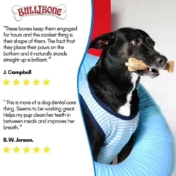 Bullibone Superbrush Chew Toy For Large Dogs -PawHut || Nylabone || Northlight Gifts Shop GUEST 8ea4a26f 469f 4896 860e bd4379c53123