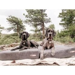 Big Barker 7" Orthopedic Dog Bed - Sleek Edition -PawHut || Nylabone || Northlight Gifts Shop GUEST 905e143a e37d 4e20 9d59 c6aa1d4df57e