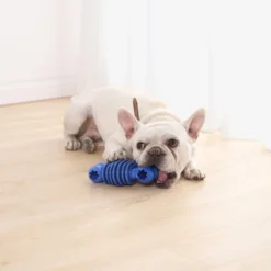 PetMedics Soothing & Wellness Durable Chew Aid With Fun & Calming Sounds For Medium, Large, Moderate And Tough Chewing Dogs -PawHut || Nylabone || Northlight Gifts Shop GUEST 917ac098 10ee 4d40 8909 62a61d509d2c