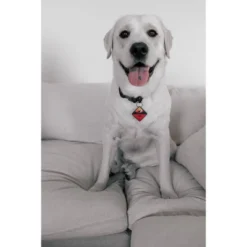 QALO TraQ Powered By Tile Dog And Cat Silicone Bluetooth Trackable Pet ID Tag - Red