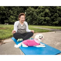 Pet Life Active Pull-Rover Premium 4-Way Stretch Two-Toned Sleeveless Hoodie Dog And Cat T-Shirt - Pink -PawHut || Nylabone || Northlight Gifts Shop GUEST 9748cb5f aaea 4cab b5ad b80907f456e7 1