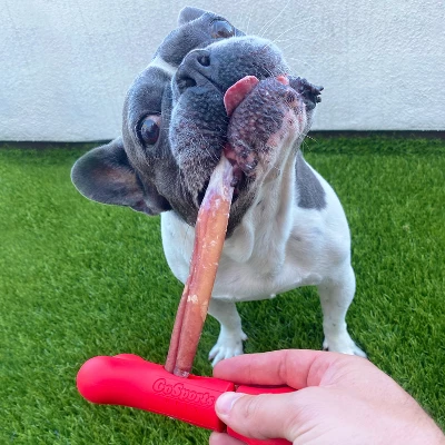 GoSports Chew Champ Bully Stick Holder For Dogs 3 GoSports Chew Champ Bully Stick Holder For Dogs