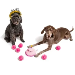 Midlee Happy Birthday Dog Tennis Balls (6 Pack) (Regular, Pink) 9 Midlee Happy Birthday Dog Tennis Balls (6 Pack) (Regular, Pink) -PawHut || Nylabone || Northlight Gifts Shop GUEST 9d98a979 b75d 4a79 9d2e 94d8c1554be6
