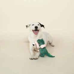 PetShop By Fringe Studio Pool Time Rex Dog Toy - Dark Green 5 PetShop By Fringe Studio Pool Time Rex Dog Toy - Dark Green -PawHut || Nylabone || Northlight Gifts Shop GUEST a1a890d2 be15 453e 9fe3 1516b87b13b4