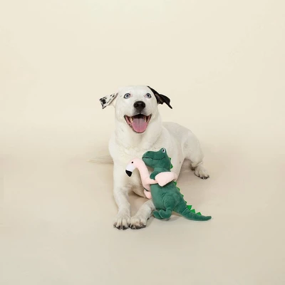PetShop By Fringe Studio Pool Time Rex Dog Toy - Dark Green 4 PetShop By Fringe Studio Pool Time Rex Dog Toy - Dark Green - Image 2