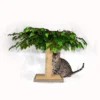 Midlee Tree Decorative Cat Scratcher -PawHut || Nylabone || Northlight Gifts Shop GUEST a24e2ccb 230f 4146 afd2 6ffbfc93715e