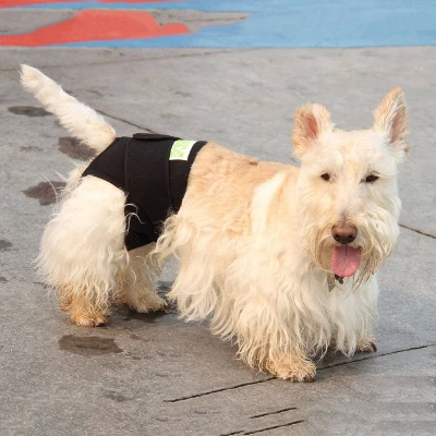 Healers Body Rear Module Dog Wrap 7 Healers Body Rear Module Dog Wrap - Image 5