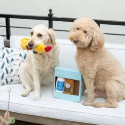 ZippyPaws Happy Hour Crusherz Spirits Dog Toy - 3pk -PawHut || Nylabone || Northlight Gifts Shop GUEST a37081e8 4bfd 4d17 a854 7d785f5e6588