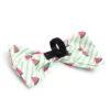 The Worthy Dog Stripe Watermelon Bow Tie Accessory 2 The Worthy Dog Stripe Watermelon Bow Tie Accessory -PawHut || Nylabone || Northlight Gifts Shop GUEST a88548eb 2f45 4580 8694 f865dcce8ba9