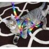 Cat Dancer Rainbow Cat Charmer, 2 Pack -PawHut || Nylabone || Northlight Gifts Shop GUEST b17cafff 3321 4deb 823a 952a2867cc92