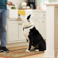 Greenies Dental Bone Sweet Potato Dog Treat - Regular - 12oz -PawHut || Nylabone || Northlight Gifts Shop GUEST b1bd90cc 5590 4e79 9e40 02da96864cab