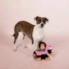 PetShop By Fringe Studio Gregory The Gorilla Living Large Dog Toy -PawHut || Nylabone || Northlight Gifts Shop GUEST b4f4a2c2 ac39 48cf b789 13921db2072e